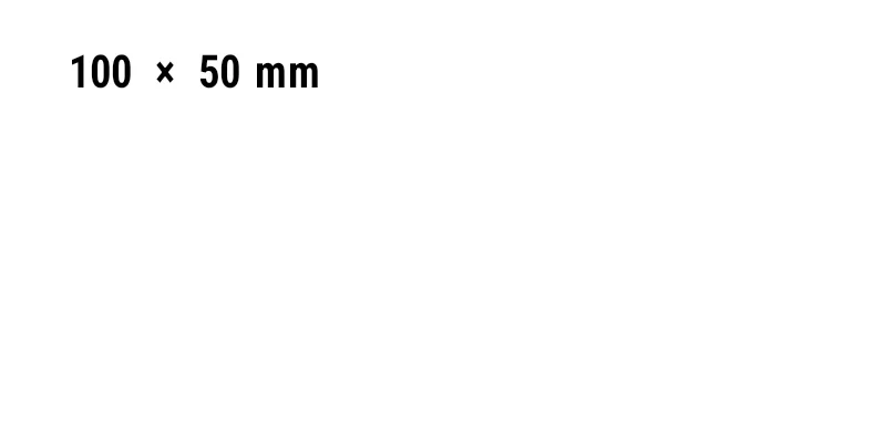 ZPL preview: Label 100 × 50 mm