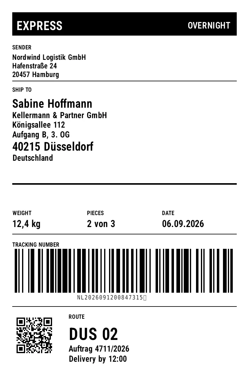Preview of FedEx Template