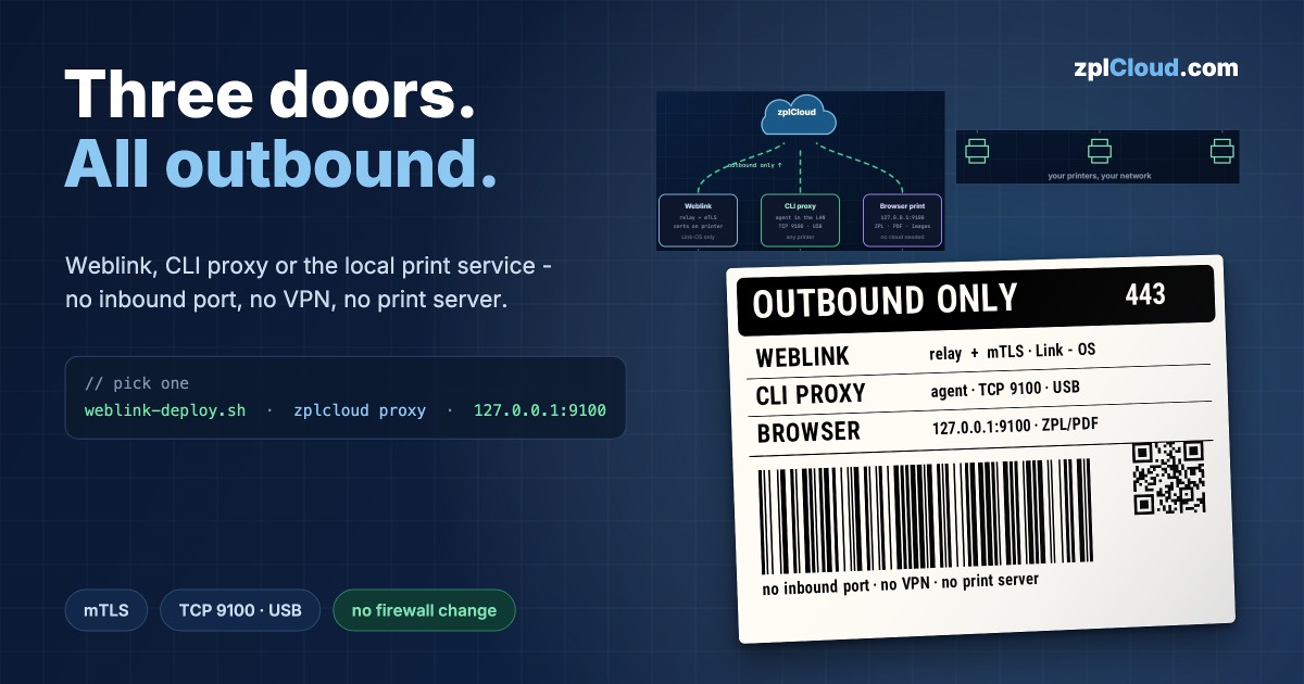 Weblink vs. CLI Proxy vs. CloudToBrowserPrint: Which Connection Do You Actually Need?